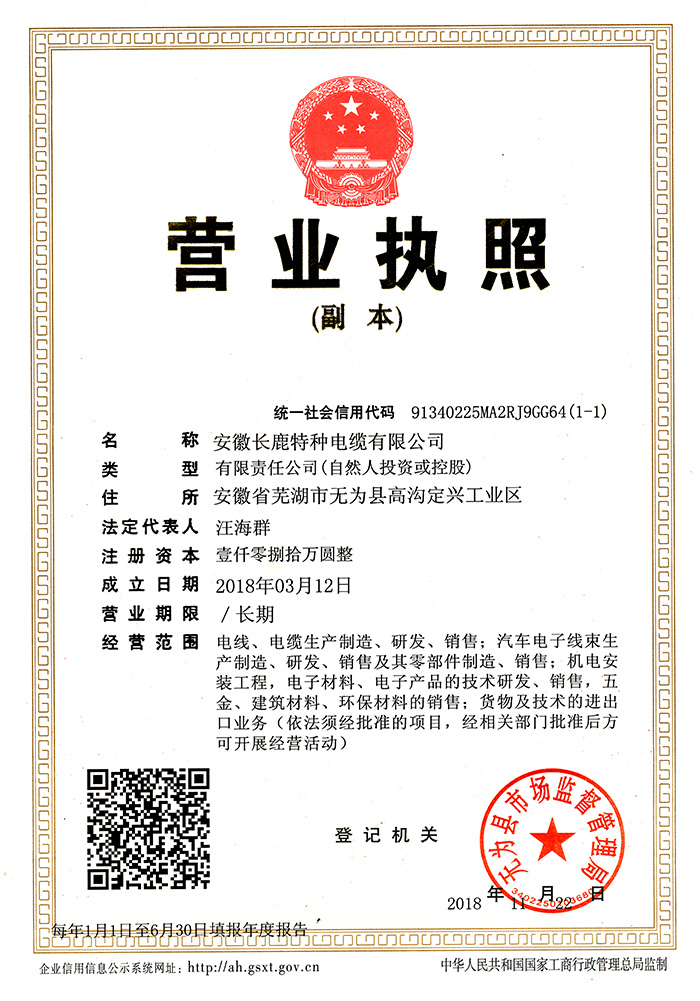 四川營(yíng)業(yè)執(zhí)照副本